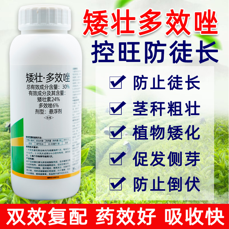 植物矮壮素多效挫唑矮壮剂