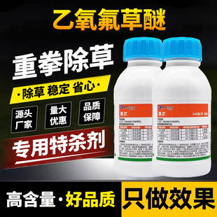 乙氧氟草醚针叶苗圃大蒜田水稻一年生杂草灭生烂根除草剂农药大全