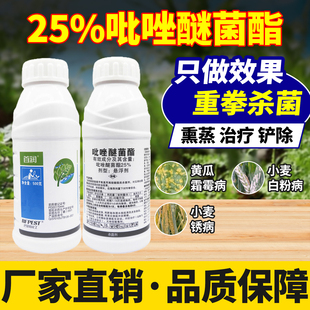 小麦专用药白粉病专用杀菌剂锈病25%吡唑醚菌酯黄瓜霜霉病农用药