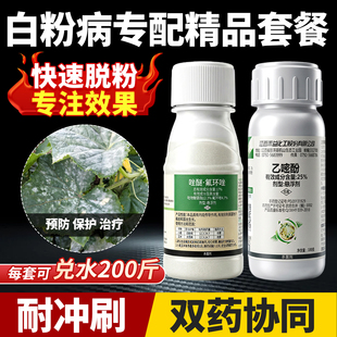 植物白粉病专用药吡唑醚菌酯氟环唑乙嘧酚小麦农用农药套餐杀菌剂