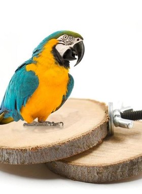 Pet Standing Board Wood Parrot Cockatiel Parakeet Perches Bi