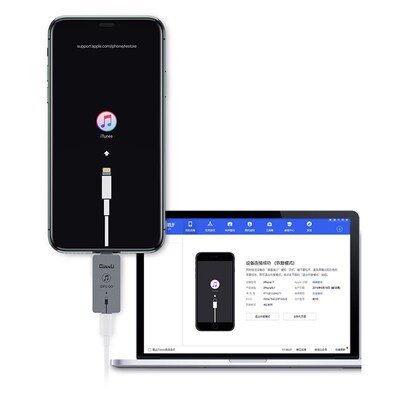 QianliiDFUGouickReve