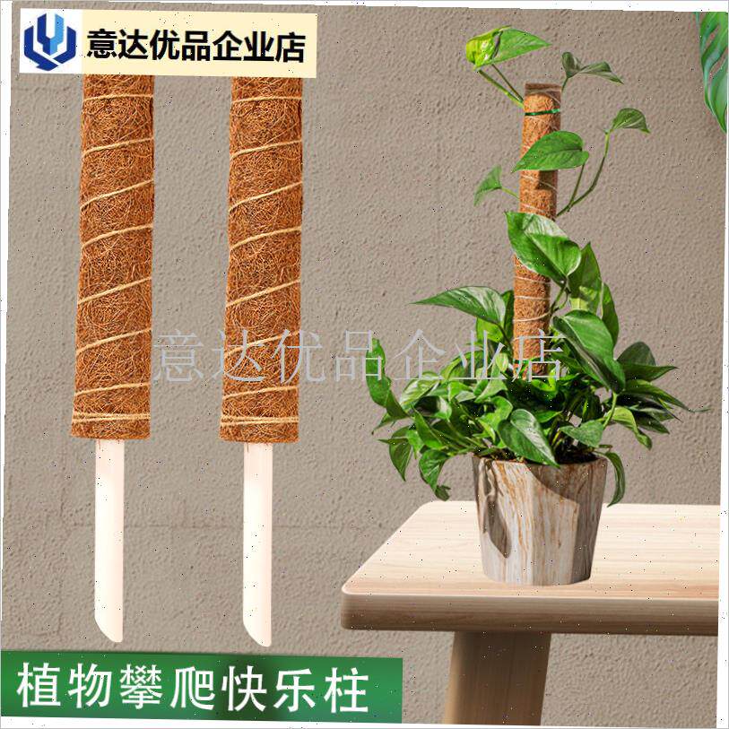 叶绿萝植物攀爬棕柱椰棕棒龟背z竹支撑杆攀爬架海芋支柱棕榈苔藓,