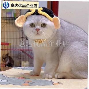 趣的猪八戒猫头饰可爱的u宠物羊毛针织帽变装帽狗生日假期头饰,