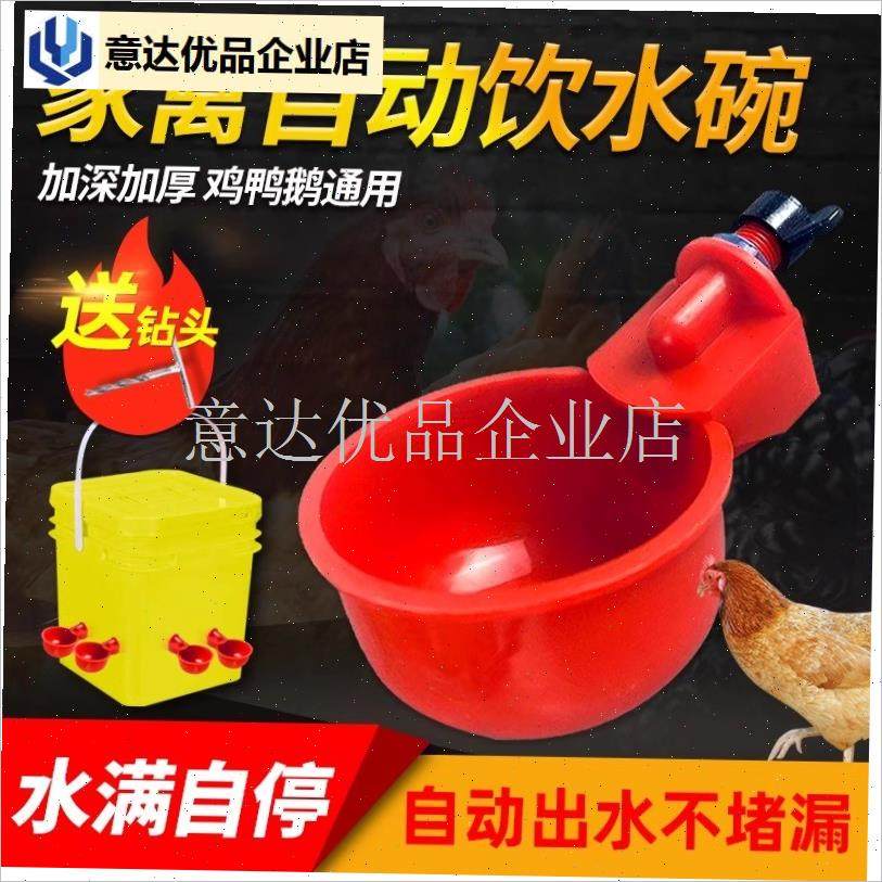 鸡用自动饮水器鸡鸭鹅饮水碗鸽子C喝水壶鹌鹑家禽鸟小鸡喂鸡神器,,畜牧/养殖物资,畜牧/养殖器械,淘宝优惠券,粉丝福利购,淘宝优惠卷