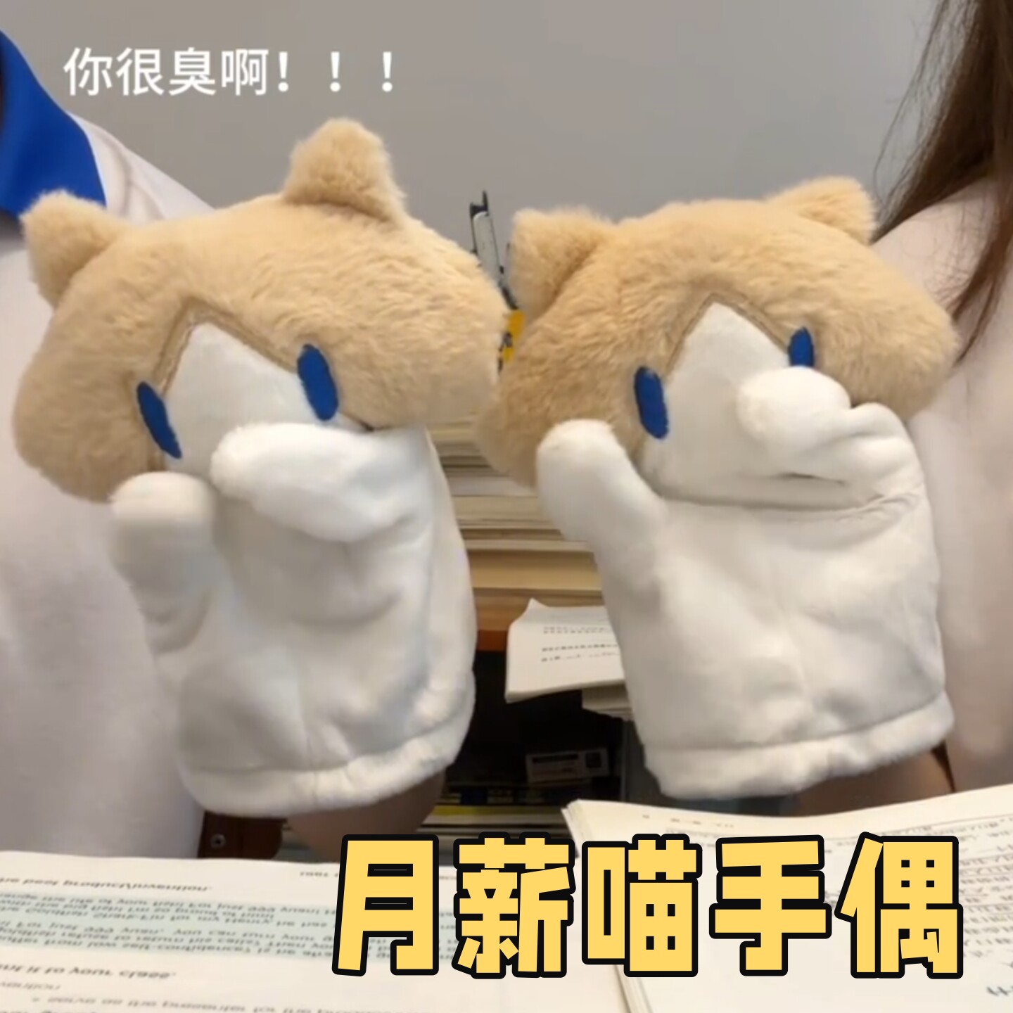 月薪喵手偶毛绒玩偶表情包公仔
