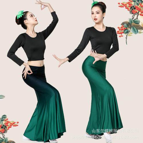 傣族舞蹈服女演出服练功舞裙孔雀