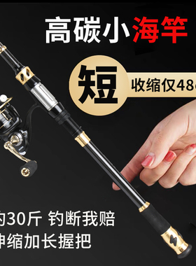 小海杆小抛竿短节东钓主迷你小海竿便携迷你甩杆钓鲫鱼小爆炸竿