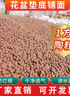 成都发货陶粒花用园艺陶土粒球养花多肉铺面盆栽垫底陶粒滤料透气