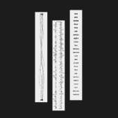 3款 Riseinlife 时间轴胶带 Time 1循环无底纸和纸胶带 About