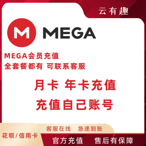 MEGA网盘会员定制空间扩容