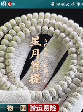 真海南星月菩提手串108颗原生态顺白脖挂佛珠大留白高密文玩念珠
