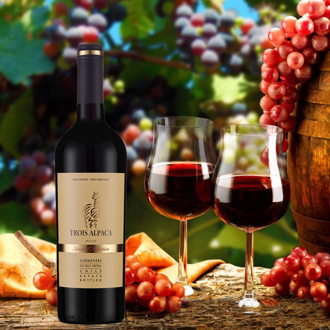 帝洛斯羊驼卡曼纳干红   750ml 智利正品原瓶进口 单支装