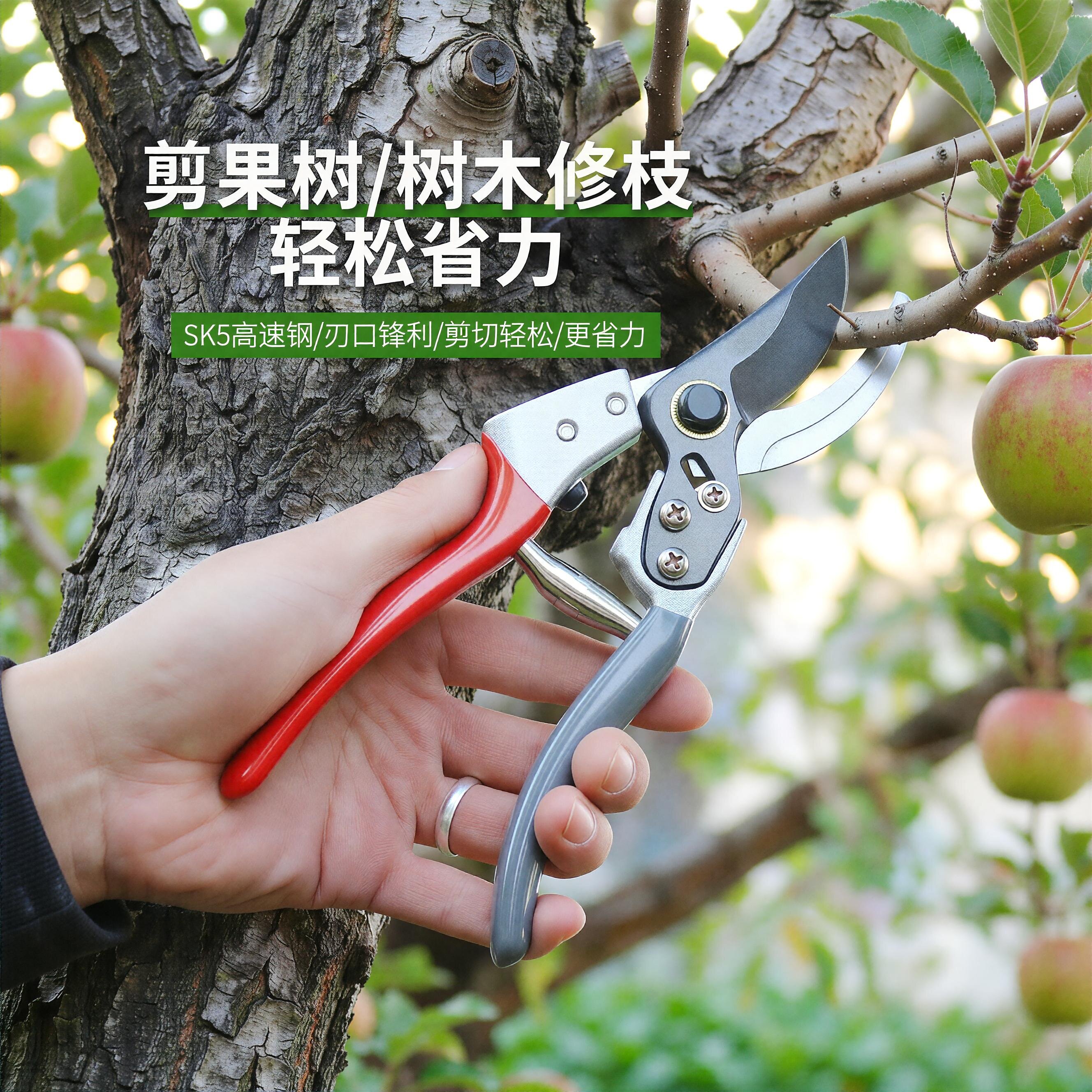 园林修枝剪SK5果树枝剪刀家用剪树枝剪子加长强力花枝剪耐用剪枝