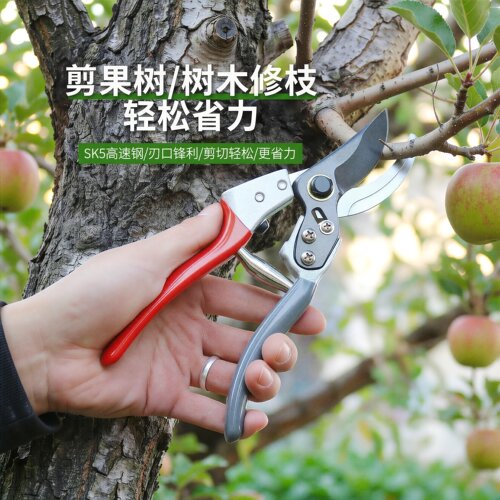 园林修枝剪SK5果树枝剪刀家用剪树枝剪子加长强力花枝剪耐用剪枝