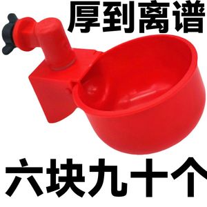 自动喂食器鸡鸭鹅饮水碗养殖喂水神器鸽子饮水器鹌鹑水杯鸽子水碗