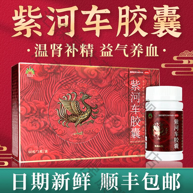 苗仁堂胎盘中药紫河车胶囊紫河车虚劳咳嗽盗汗温肾补