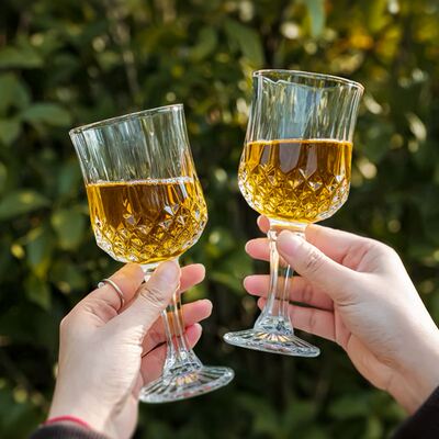 Acrylic plastic red wine glasses of champagne cup wine glass