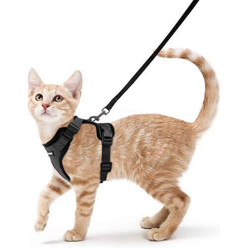 Undershirt Dog Walking Cat Leash for Small Cats and Dogs
