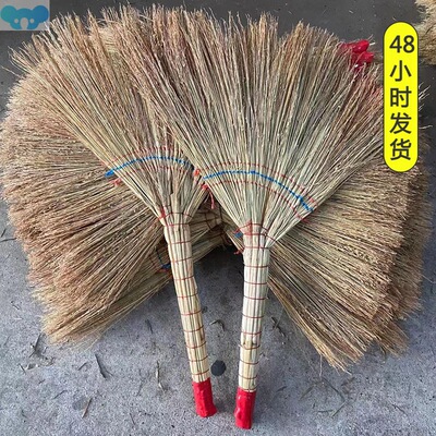 Lazy broom sorghum hulled golden seedling hulless懒人扫把1