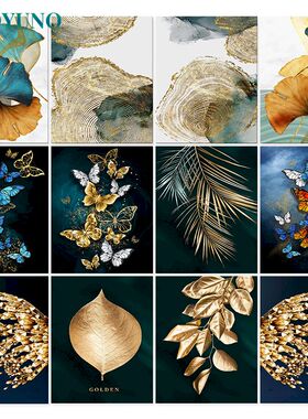 40x50cm Paint By Numbers Butfly DIY Painting By Numbers On