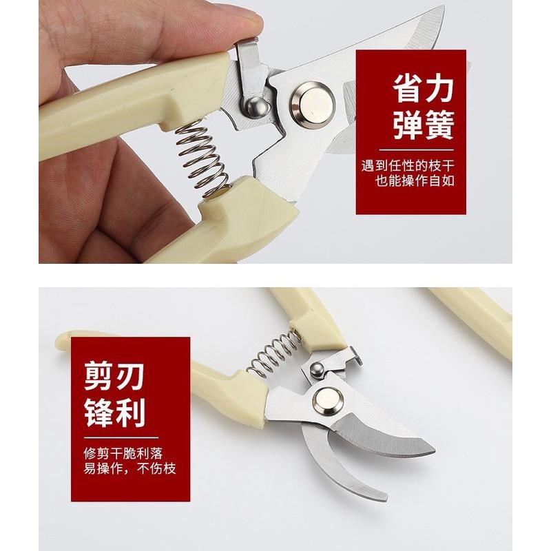 树枝剪修剪瓜果花草剪园艺剪刀轻松修剪树枝神器剪粗枝剪子工具