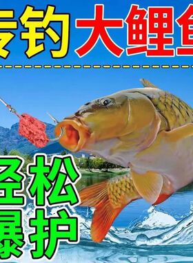 冬钓专攻鲤鱼野钓饵料秋冬专用饵料配方麦芽糖玉米黑坑窝料诱鱼剂