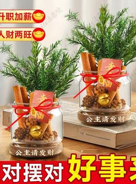 肉桂生财摆件发招米桂皮聚米瓶子diy客财厅位工位办公室乔迁搬家
