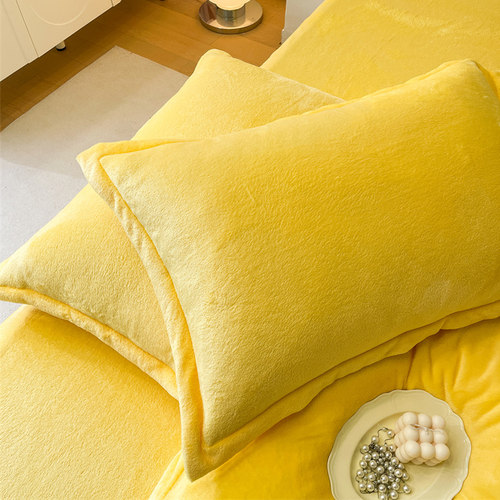 牛奶绒枕套一对装珊瑚绒48cm74cm