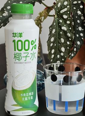 华洋100%椰子水420ml*15瓶0添加NFC纯椰子汁非浓缩天然电解质饮料