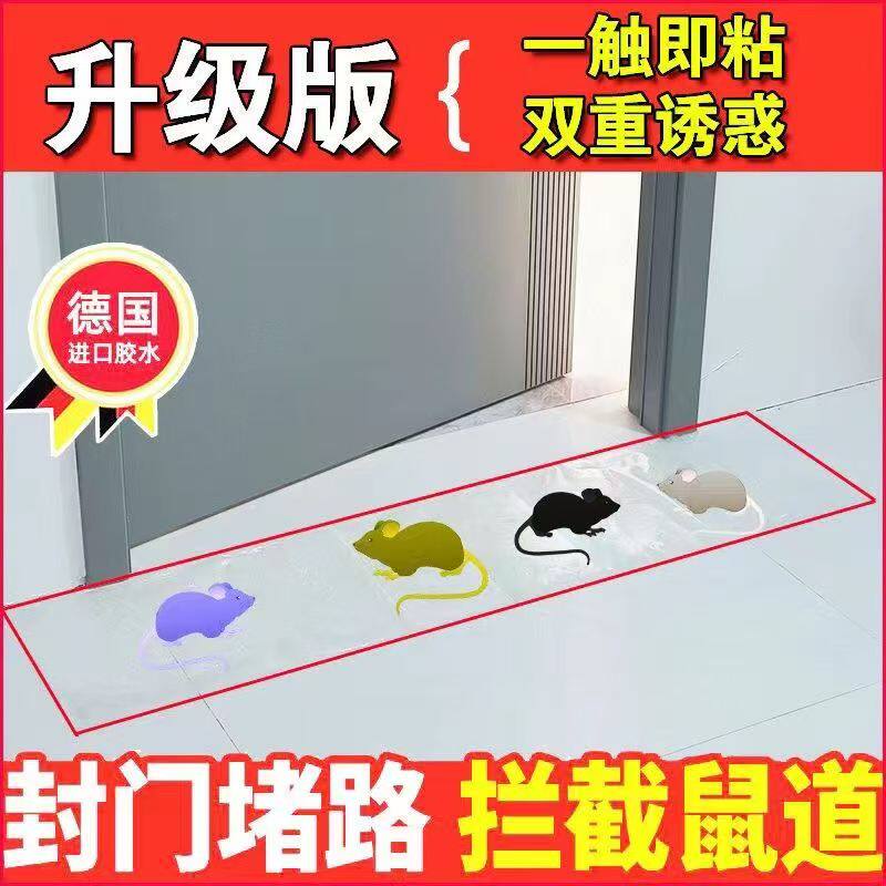 老鼠贴强粘鼠板超强家用仓库厨房一窝端大号捕鼠器魔毯灭鼠贴透明