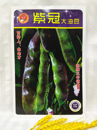 东北油豆角种籽中熟大紫花紫冠油豆春季蔬菜大宽四季搭架100克