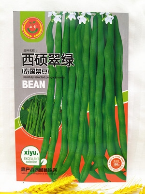 东北种子籽油豆角种子籽无筋架豆王刀豆种子包邮