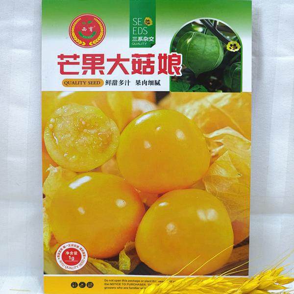 西林种业芒果大姑娘种子籽东北四季播阳台盆栽庭院皮薄个大甜1克