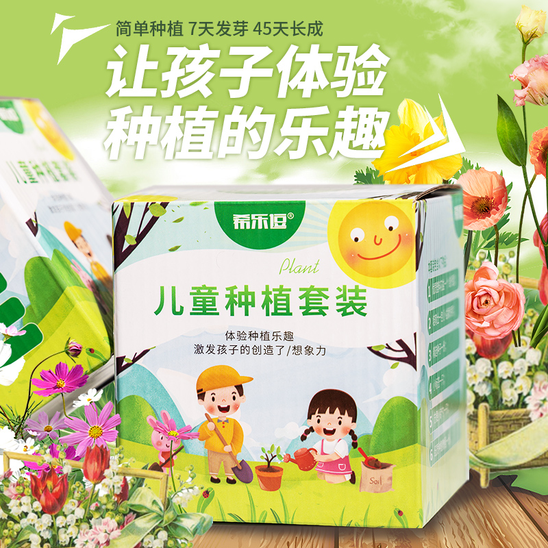 儿童种植小盆栽套装植物种子四季凤仙花种籽向日葵种孑学生花种子