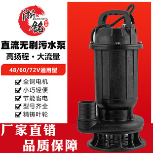 直流无刷污水泵48v60v72v高扬程大流量电瓶电瓶车太阳能污水泵
