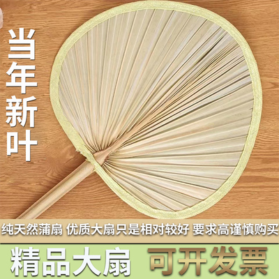 老式大蒲扇子夏季手工芭蕉扇葵扇济公扇家用中国风宝宝儿童扇子