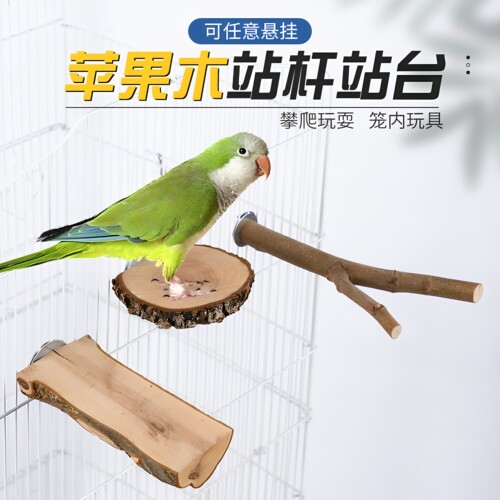 鹦鹉原木吊环啃咬站架
