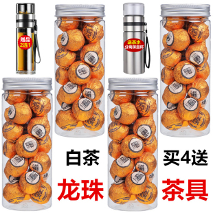 福鼎白茶小龙珠茶老白茶寿眉贡眉龙珠球茶100g散装 尝鲜 礼盒罐装