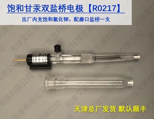 双盐桥饱和甘汞参比电极R0217 SC R electrode天津艾达恒晟