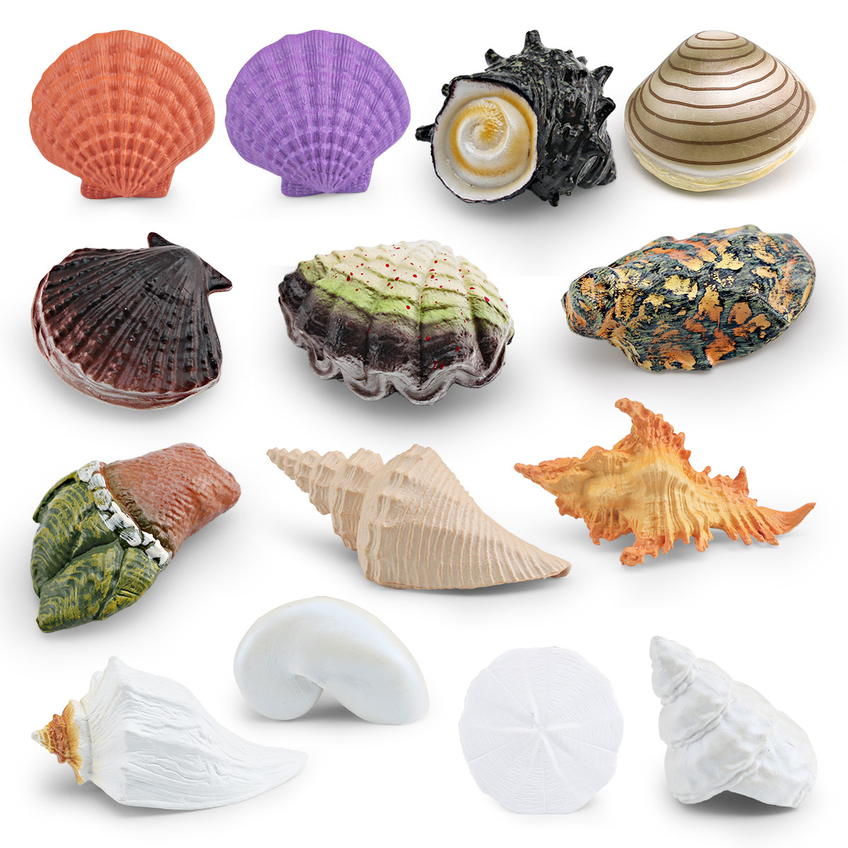 仿真花贝海螺哈喇扇贝生蚝龟足骨螺海洋生物模型贝壳装饰摆件