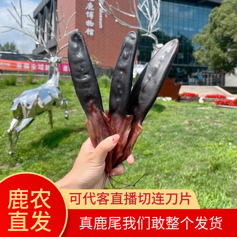 鹿小薇&bull;吉林梅花鹿整只干鹿尾巴男性泡酒炖汤可连刀切片直播称重