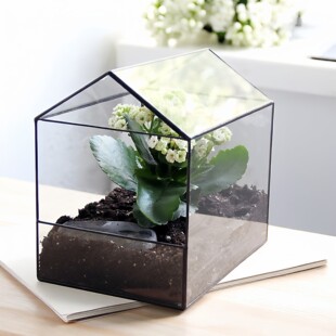 微型雨林缸园艺 DIY微景观多肉花盆玻璃养花器盆景盆花房花器