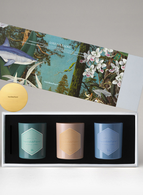 【礼物季】handhandhand官方香氛香薰蜡烛礼盒三色爱情100gx3