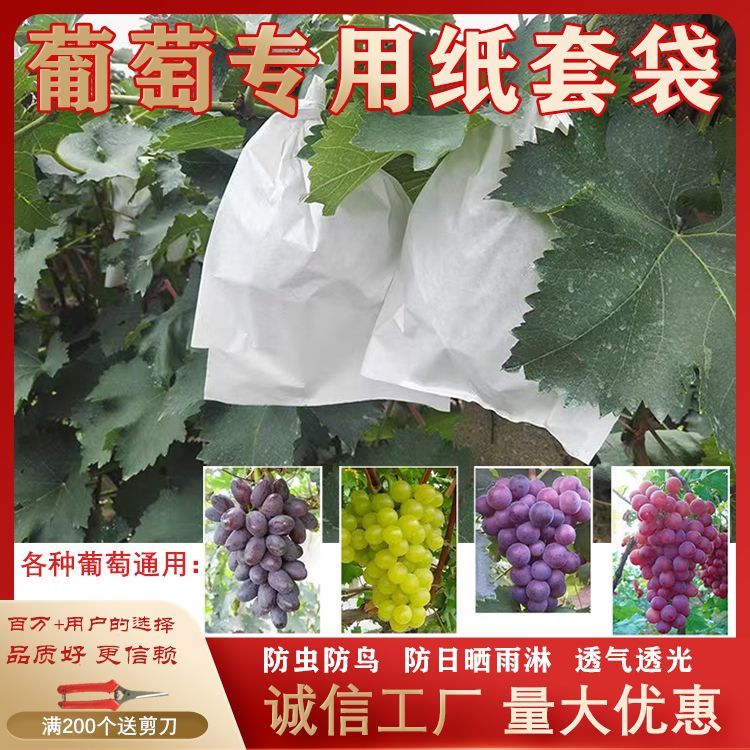 露天葡萄专用套袋加厚防