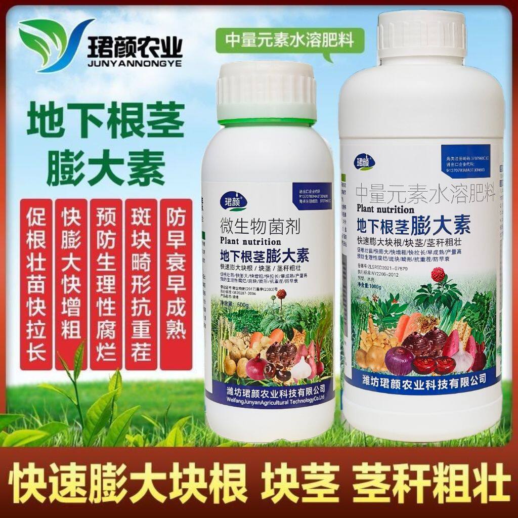 地下根茎膨大素马铃薯山