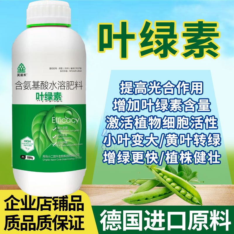叶绿素一喷绿氨基酸叶面