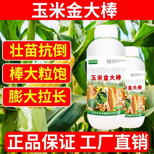 玉米金大棒伏氨基酸水溶肥促根壮苗促早熟强株耐旱涝抗倒追肥