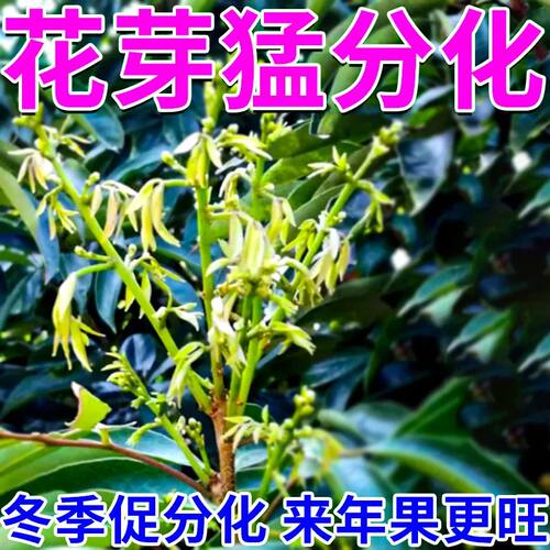 新型果树促控剂控梢控旺