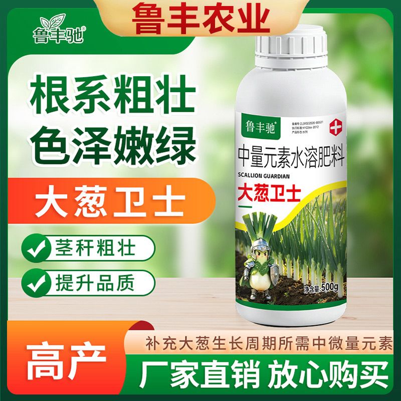 大葱病菌清香葱干尖黄叶